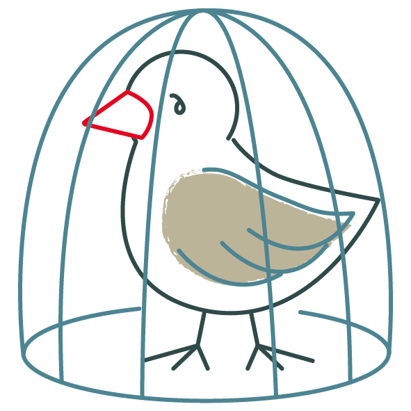 bird in cage
