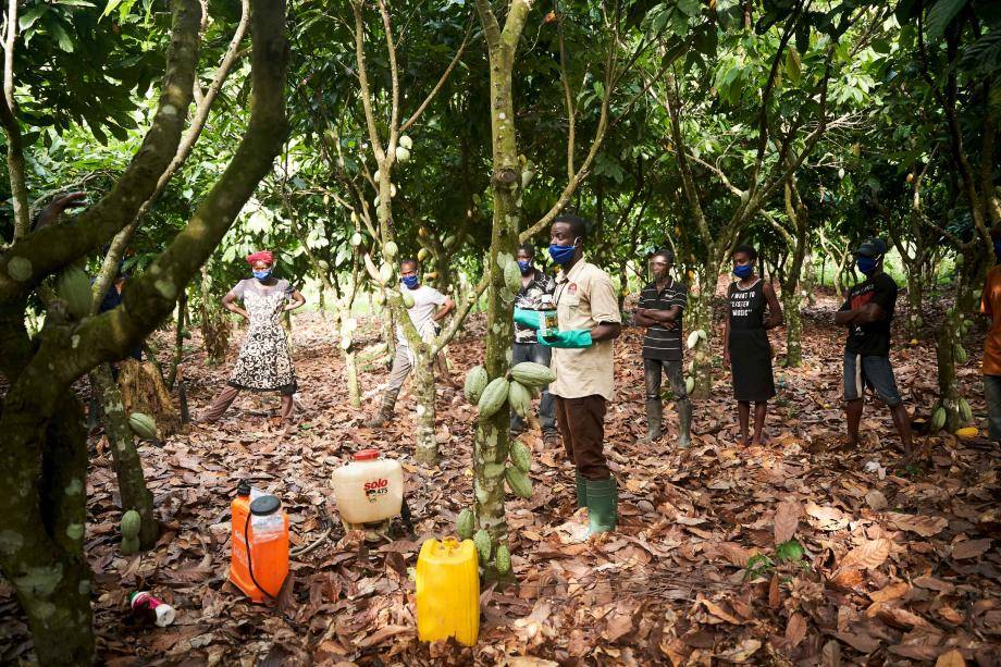 Prospering Farmers - Forever Chocolate