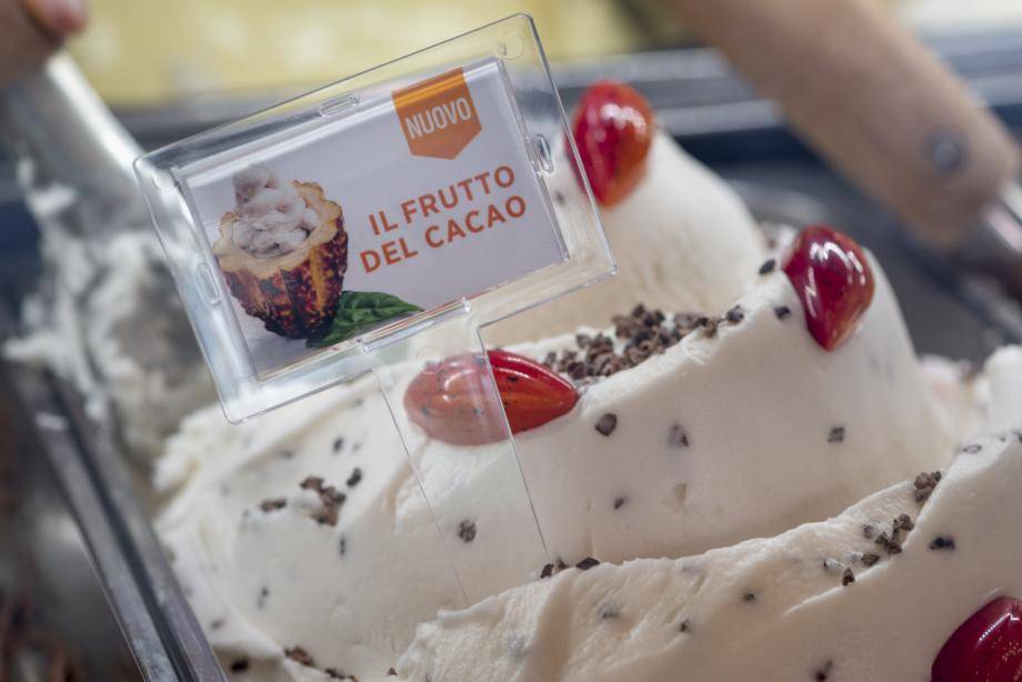 Il Frutto del Cacao cacaofruit gelato mix