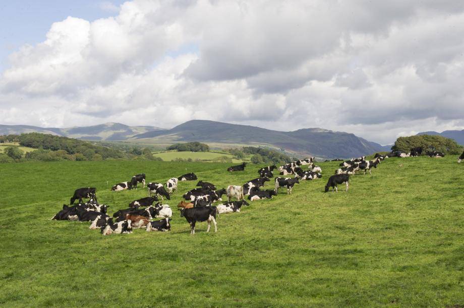 Barry Callebaut - Setting the standard for CO2 reduction in dairy production