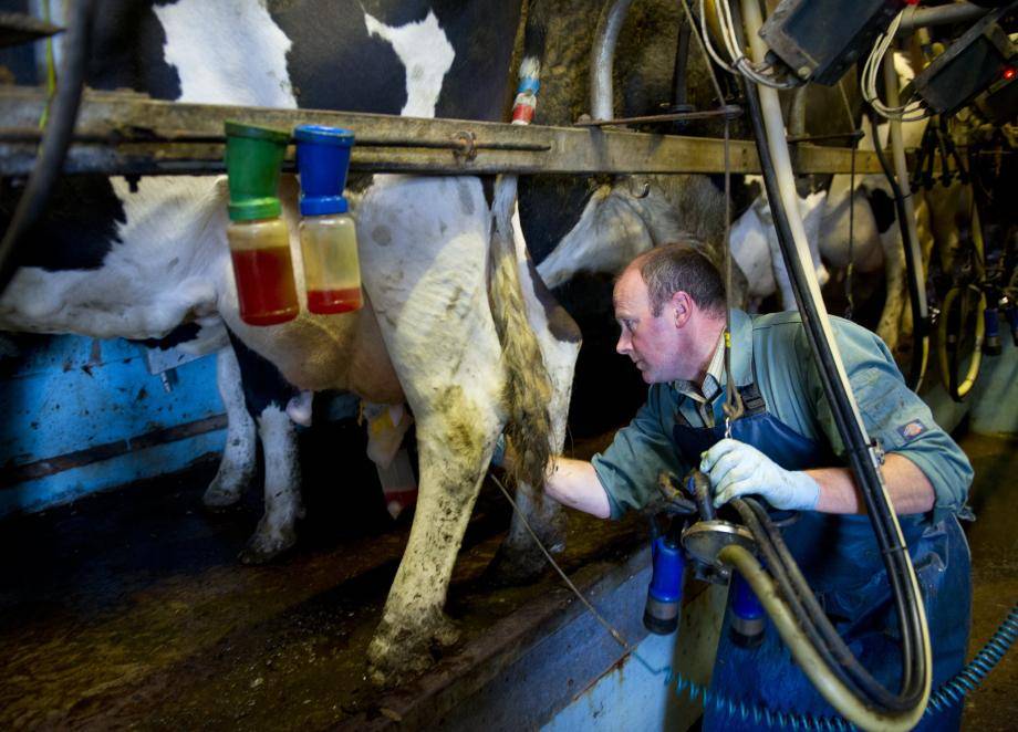 Barry Callebaut - Setting the standard for CO2 reduction in dairy production