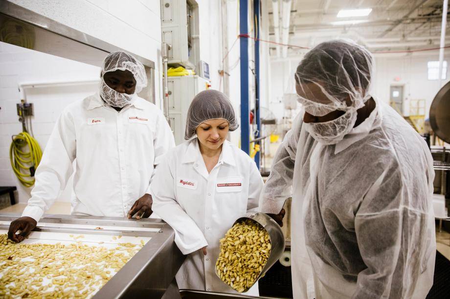 American Almond - Barry Callebaut 