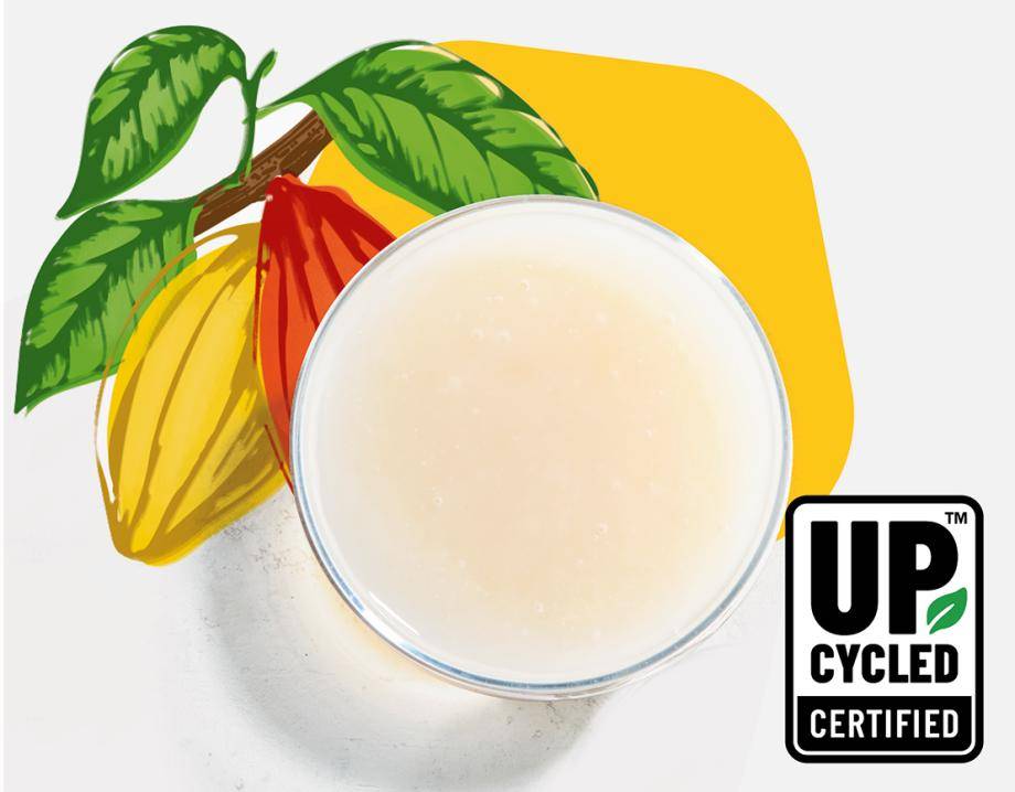 cacaofruit upcycled certified