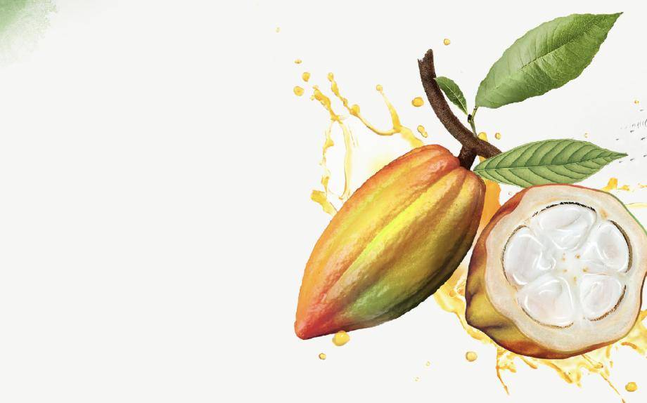 Wholefruit-chocolate-Evokao-Cacao-Barry