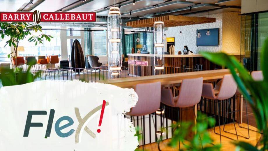 Global FleX! policy Barry Callebaut