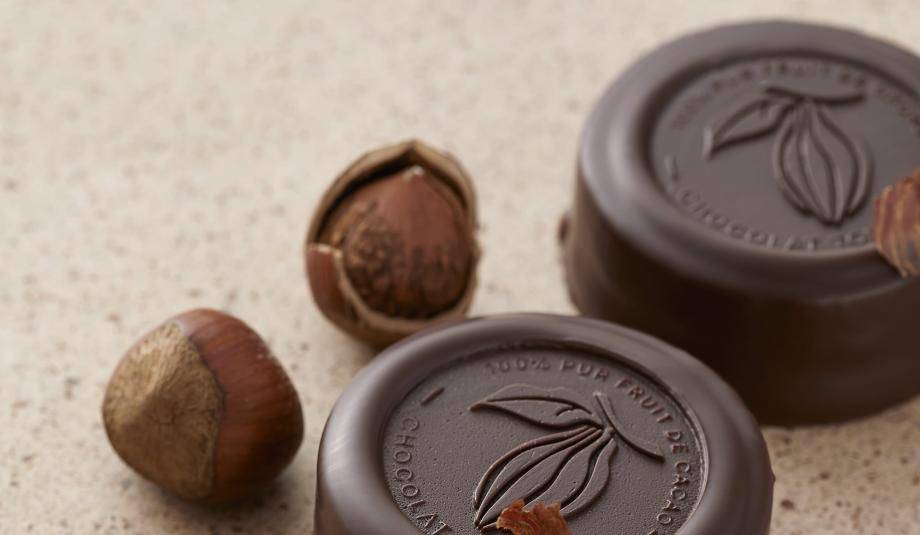 Barry-Callebaut-sustainable-chocolate-2022