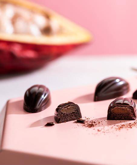 cacaofruit pralines are upcyced certified