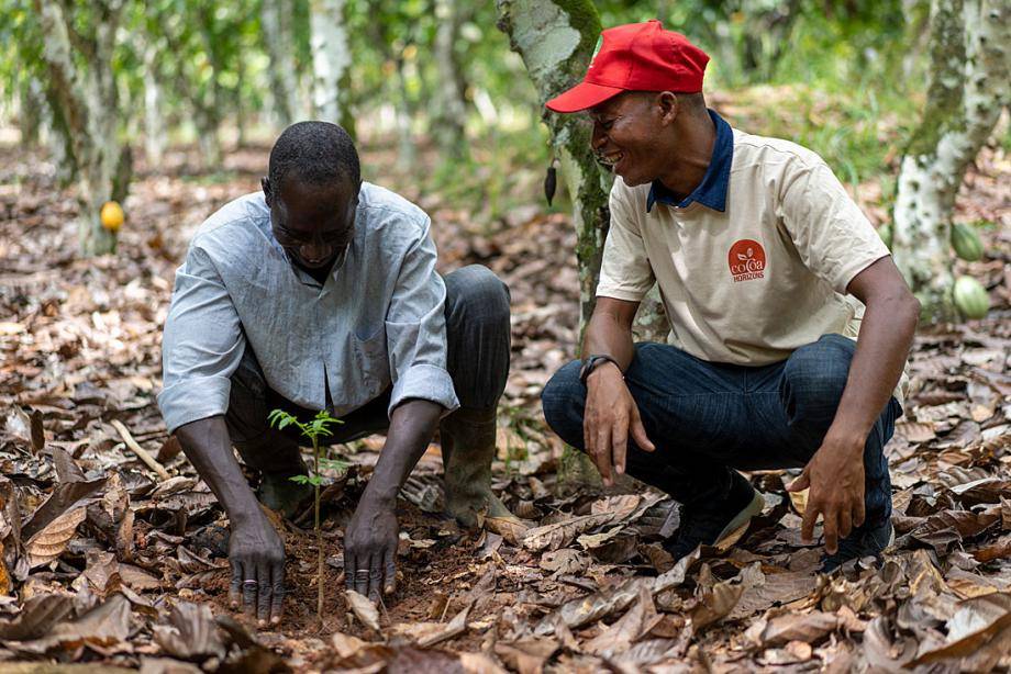 Coach and farmer doing agroforestry