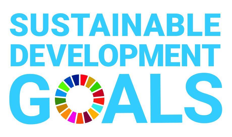 Sustainable Development Goals logo