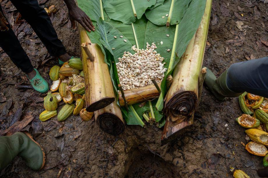 Price mechanism - Barry Callebaut