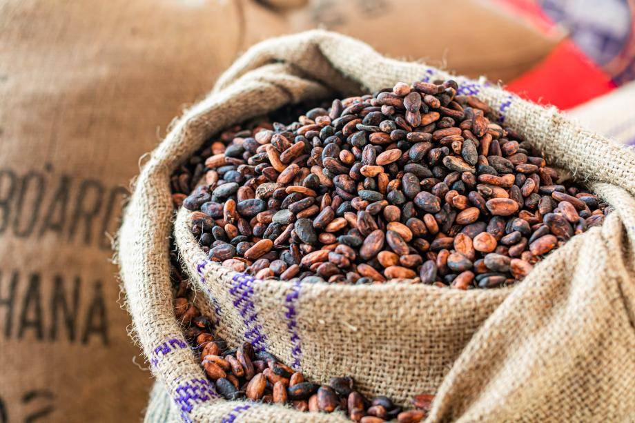 The new warehouse allows Barry Callebaut to have better control over its cocoa bean qualities to support its ambitious growth plans in the Region. 