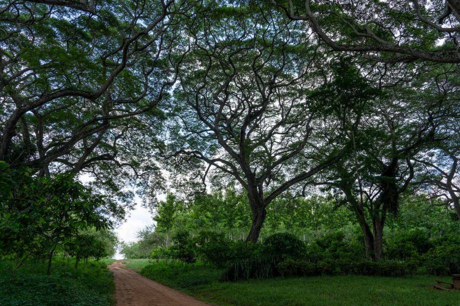 Ecosystem protection Barry Callebaut