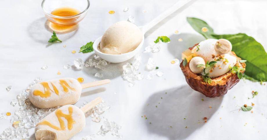 cacaofruit ice cream and sorbet