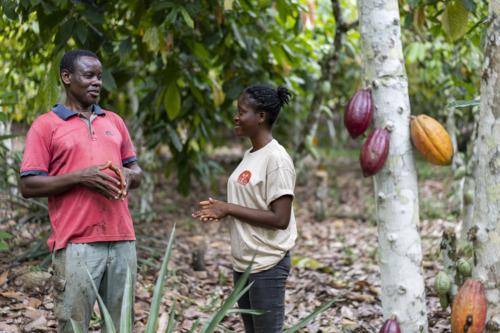 Cocoa Horizons: Driving impact in cocoa farming communities