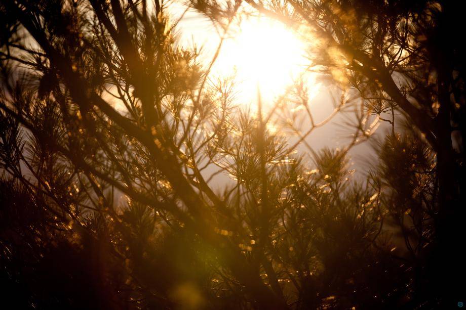 Chocolate packaging strategy for brand, people and planet