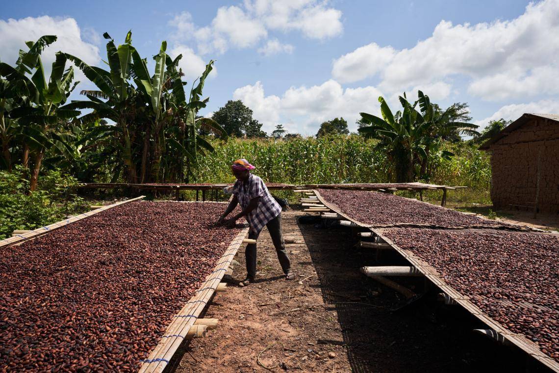 Lifting farmers out of poverty