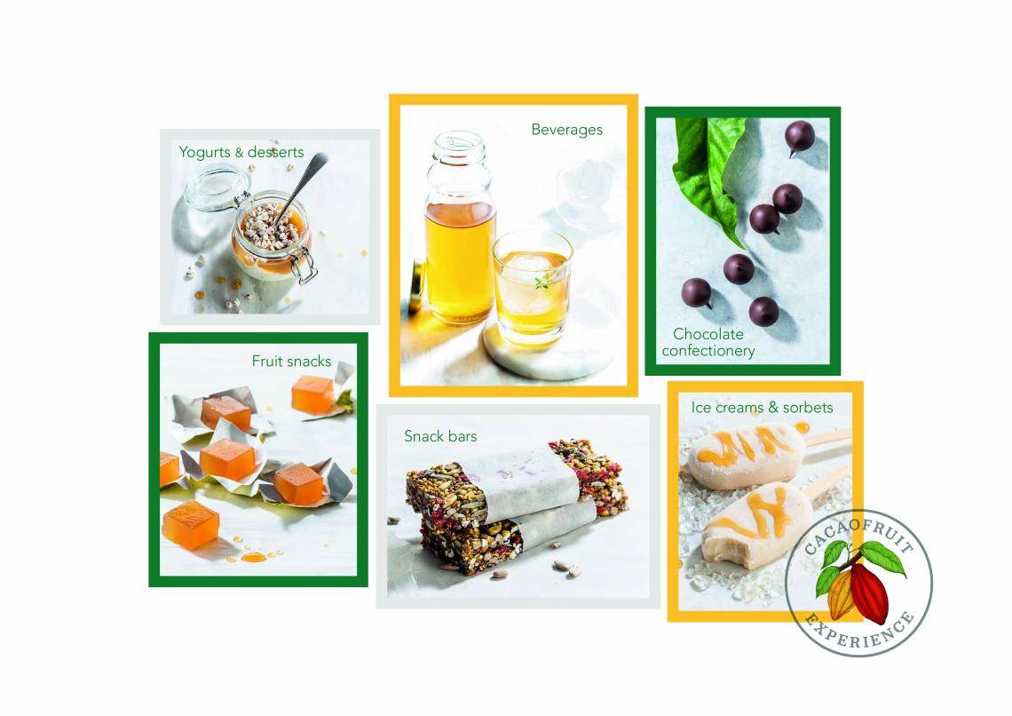 Cacaofruit Experience