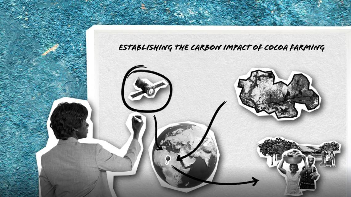 Carbon impact of cocoa farming