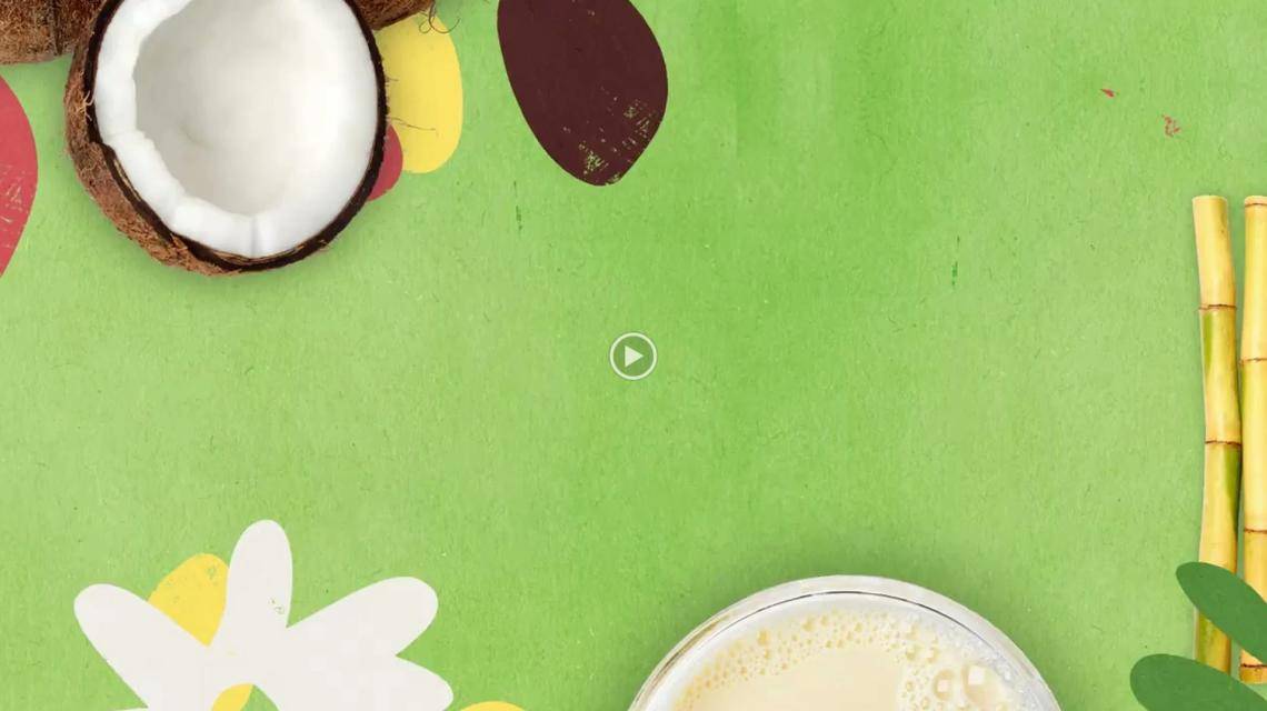 Sustainable raw materials barry callebaut