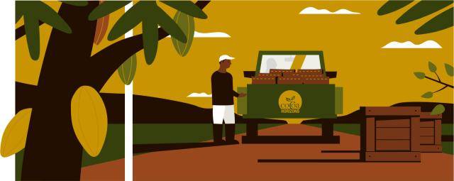 Cocoa Snapshot - The manifold challenges on the road to #ForeverChocolate