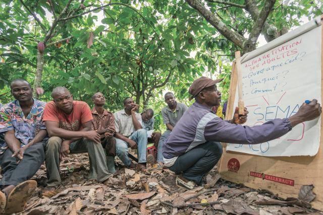 Cocoa farmer training in Côte d'Ivoire