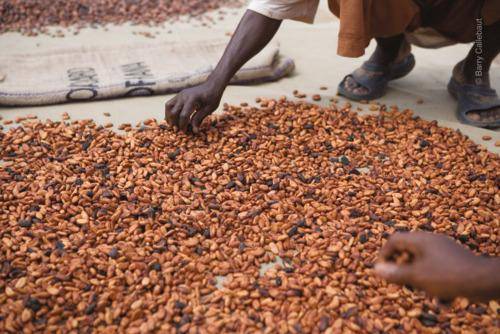 Annual General Meeting 2001 of Barry Callebaut AG