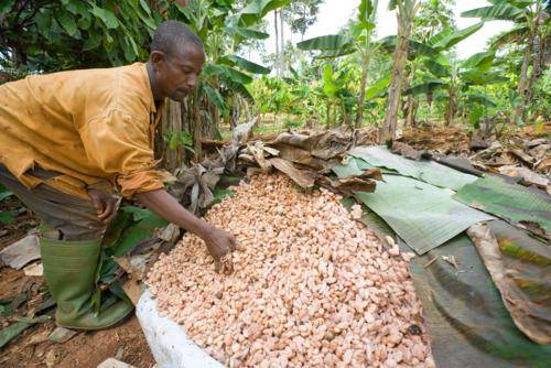 Annual General Meeting 2003 of Barry Callebaut AG