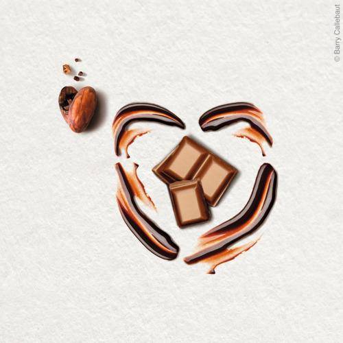 ACTICOA™ cocoa powder