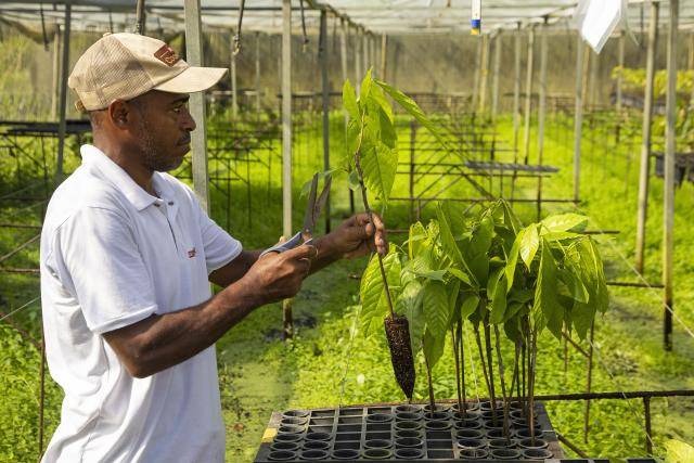 Cocoa Horizons 2023/24 Assurance Verification Report