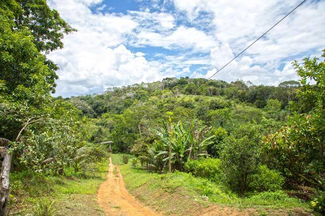 Barry Callebaut and Nestlé Partner to Accelerate Towards Net Zero Cocoa in Brazil.